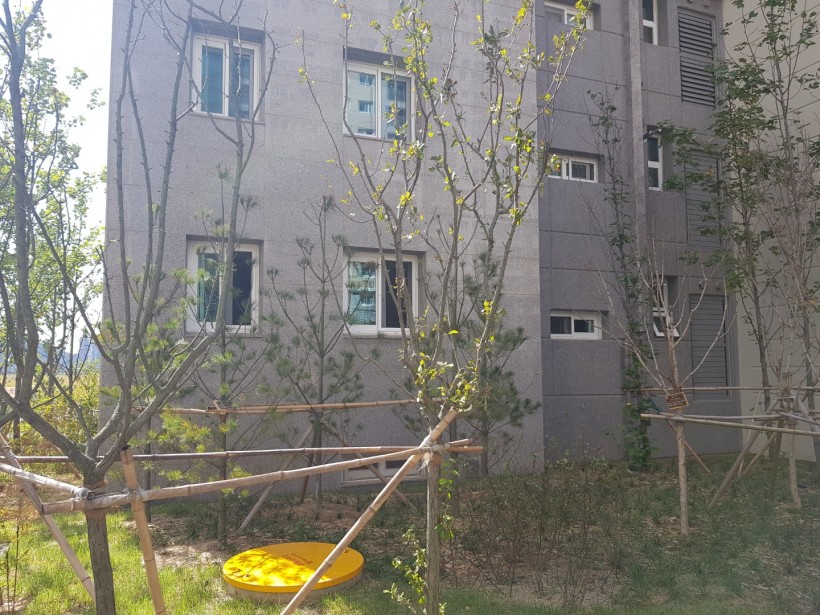 90ecb2d2cbe59adda804894d96ad8eca_1605858